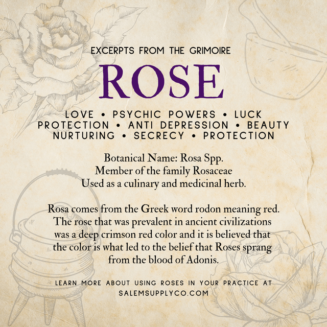 Rose petals store meaning